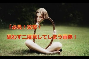 「笑撃！必見！」思わず二度見してしまう写真集！