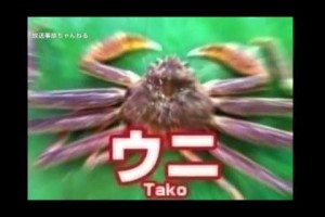 放送事故 面白SP！ヤラカシ12連発まとめ！【殿堂入りハプニング】