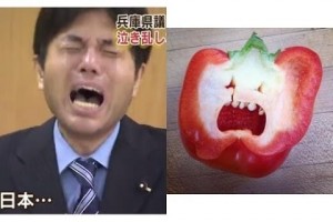 【吹いたら死亡】何かに激似の芸能人を集めました！　ものまね？ではないよね（笑）　【野々村竜太郎】