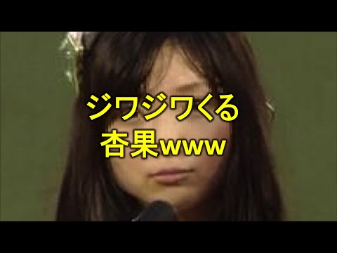 14k2601有安杏果